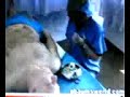 Autopsy Prank On Doctor