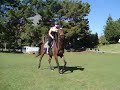 Go HaLeY, On CoCo