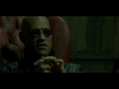 the matrix