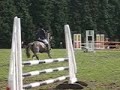 Bicton- march 2008