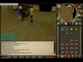 Spatula's go King Black Dragon