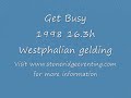 Get Busy: Show Jumping Course 3'3