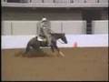 videos de Reining Horse for Sale