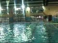 Me Doing Flips in the Pool Me Doing Flips in the Pool