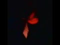 Der Plan - Gummitwist (1984)