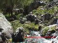 Nacimiento Río Frío Nacimiento Río Frío