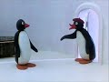 Pingu The Babysitter