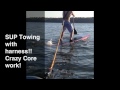 SUP Workout