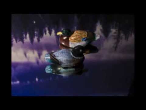 Youtube-videoupotus, klikkaa nähdäksesi!