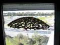 videos de UFO