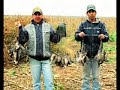 Dove shooting - More info: flyfishingandhunting.com Dove shooting - More info: flyfishingandhunting.com