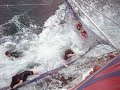 Boom Netting at Paihia
