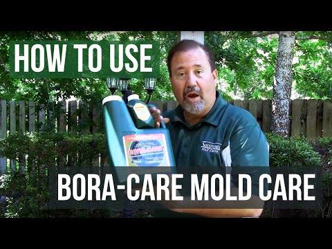 how to treat mold