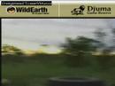 Sunset drive 111807-14 Sunset drive 111807-14