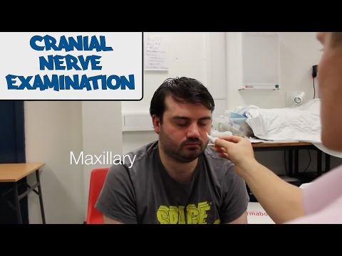 how to assess cranial nerves