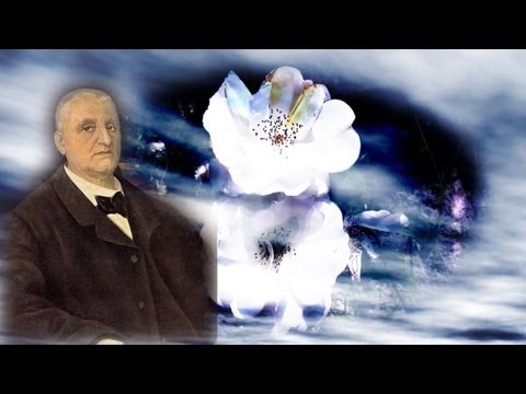 Symphonie Nr. 4