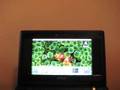 EeePC running Tiger