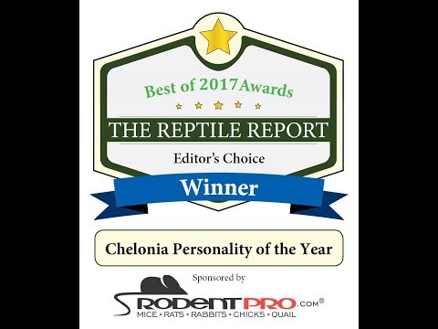 YouTube reptile video