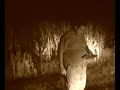 \"nature worships\"