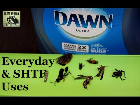 SHTF & Everyday Dawn Dish Soap Uses
