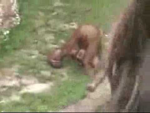 Zobacz film