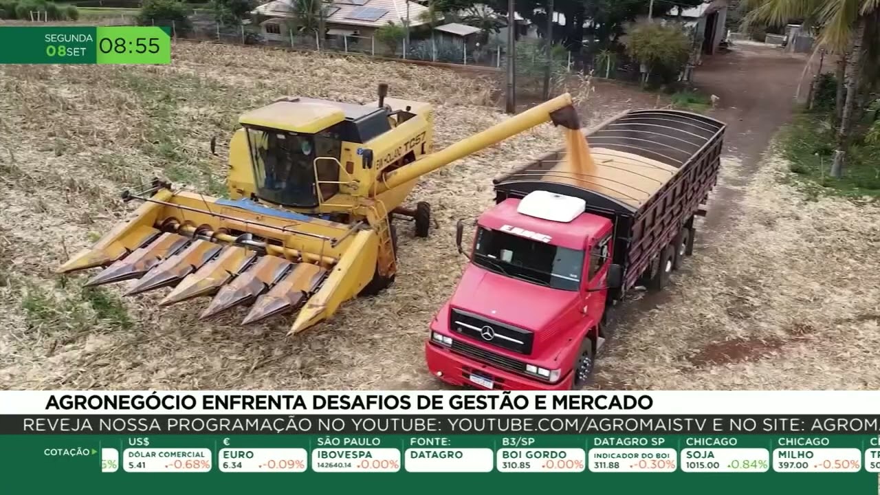 Desafios de gestão e mercado testam a força do agronegócio brasileiro