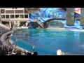 2013 "One Ocean" Shamu Show at SeaWorld (in HD)