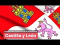 Reportaje XXV Aniversario Estatuto Castilla y León