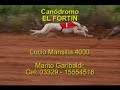 16-11-08 Carrera 10.avi