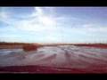 Jeep Grand Cherokee 90 mile beach river access