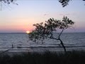 submitted by DigitalDominion on Fri Feb 11 2011 at 10:25pm