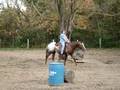Riding Indy, Appaloosa gelding - walking, turns, backing