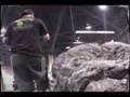 SoCal-RC-Rock-Crawle
