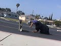 Pro Skate Vid 2- Cock'D 'N Load'D