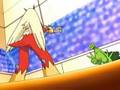Sceptile vs Blaziken