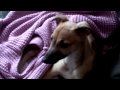 CLIP0047