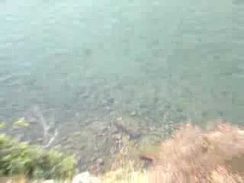 Ohridsko jezero / Ohrid Lake