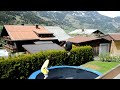 Click here to watch this video Tramp Disturbed ( doubles , cork 1260°, triple )