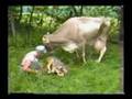 DIFFICULT BIRTH 2 