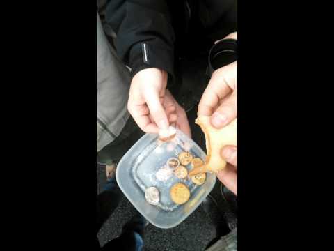 Youtube Video asaz8NEGvgk