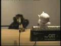 videos de rex the dog remix