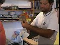 cigüeña negra gana el accesit del certamen videodiversidad