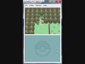 Lopunny Only Game: Part 1 Lopunny Only Game: Part 1