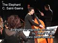 The Elephant C. Saint-Saens Double Bass Mandolin Orchestra The Elephant C. Saint-Saens Double Bass Mandolin Orchestra