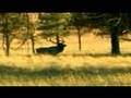 Los Alamos Travelogue