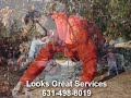 Tree Service, Tree Care, Looks Great Services, landscape service Tree Service, Tree Care, Looks Great Services, landscape service