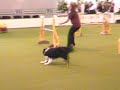 Rix 2007 Rix 2007