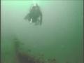 videos de william young