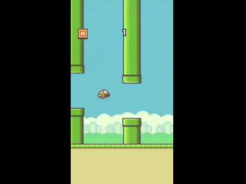 how to get rid birds