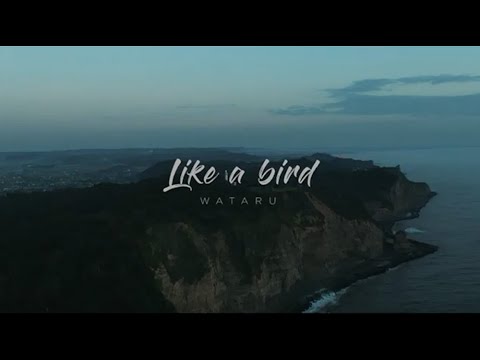 WATARUオフィシャルサイト